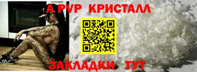 шишки Заволжье