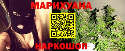 шишки Заволжье