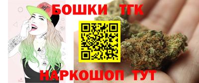 шишки Заволжье
