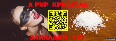 шишки Заволжье