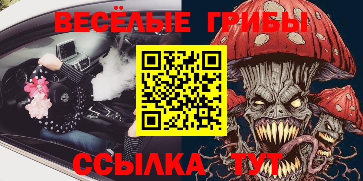 Псилоцибиновые грибы Psilocybine cubensis Краснокаменск