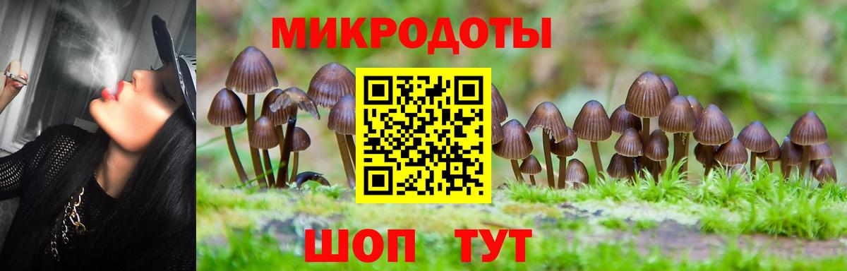 Краснокаменск  Галлюциногенные грибы Magic Shrooms  Вход с VPN 
